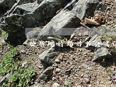 检察院的起诉书会建议法院判多久吗 检察院的起诉书会建议法院判多久吗