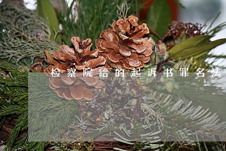 检察院给的起诉书罪名法院认定吗 检察院给的起诉书罪名法院认定吗