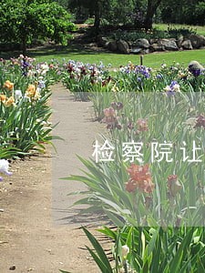 检察院让签认罪认罚是好还是坏 检察院让签认罪认罚是好还是坏