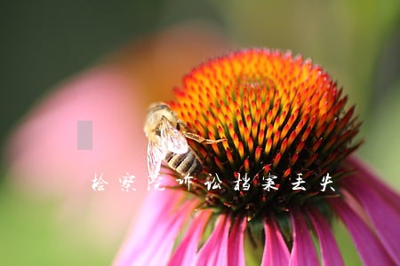 检察院诉讼档案丢失
