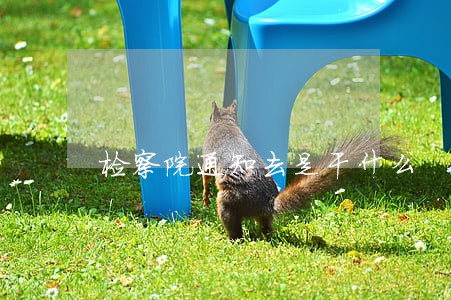 检察院通知去是干什么 检察院通知去是干什么