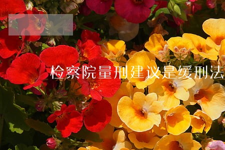 检察院量刑建议是缓刑法院怎么判 检察院量刑建议是缓刑法院怎么判