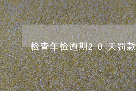 检查年检逾期20天罚款吗 检查年检逾期20天罚款吗