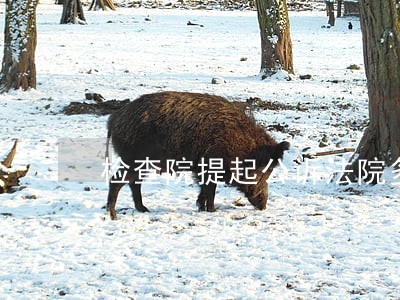 检查院提起公诉法院多长时间判决 检查院提起公诉法院多长时间判决
