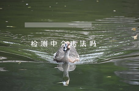 检测中介违法吗 检测中介违法吗