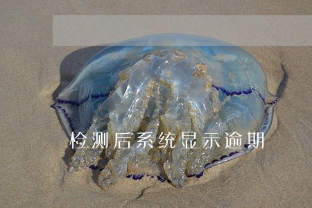 检测后系统显示逾期 检测后系统显示逾期