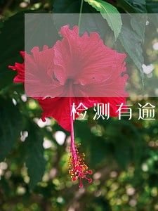 检测有逾期费吗 检测有逾期费吗