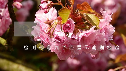 检测标拿到了还显示逾期检验 检测标拿到了还显示逾期检验