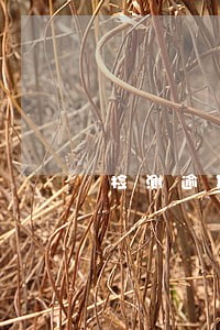 检测逾期3天罚款吗