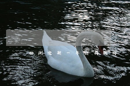 检测逾期一年会罚款吗 检测逾期一年会罚款吗