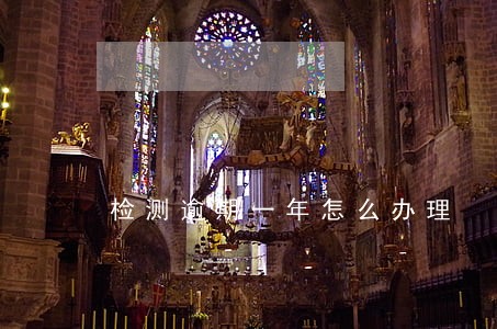 检测逾期一年怎么办理 检测逾期一年怎么办理