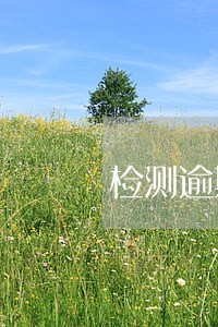检测逾期一年怎么处理 检测逾期一年怎么处理