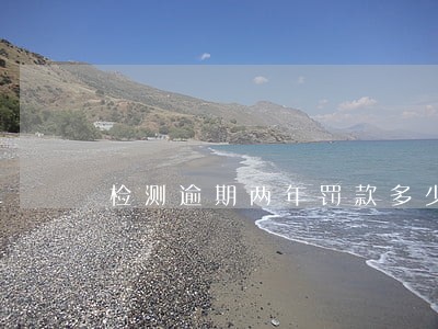 检测逾期两年罚款多少 检测逾期两年罚款多少