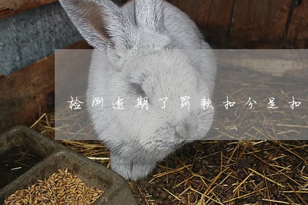 检测逾期了罚款扣分是扣谁的 检测逾期了罚款扣分是扣谁的