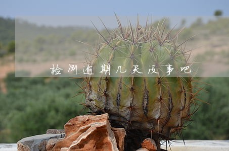 检测逾期几天没事吧 检测逾期几天没事吧