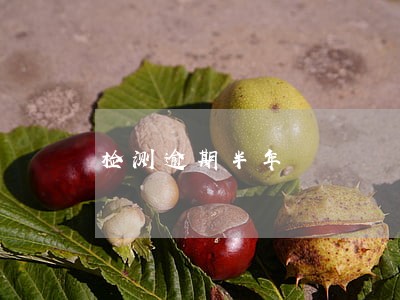 检测逾期半年