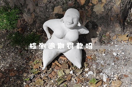 检测逾期罚款吗 检测逾期罚款吗