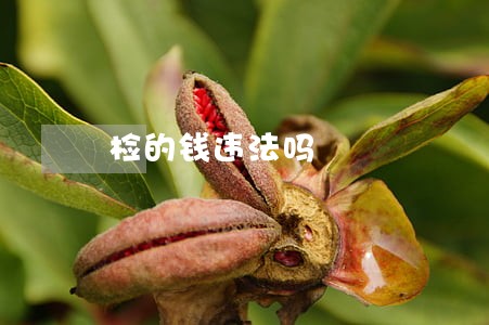 检的钱违法吗