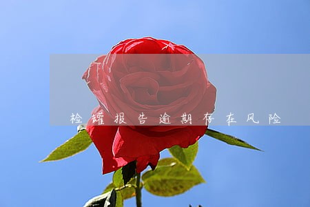 检罐报告逾期存在风险 检罐报告逾期存在风险