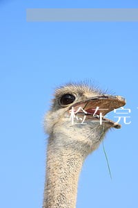 检车完了12123还显示逾期 检车完了12123还显示逾期
