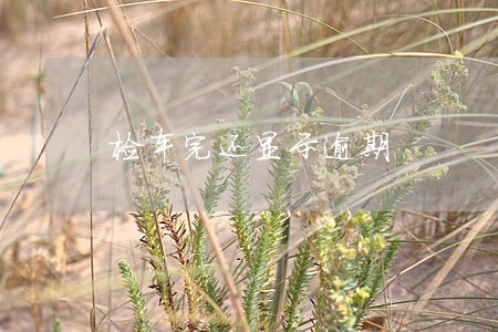 检车完还显示逾期 检车完还显示逾期