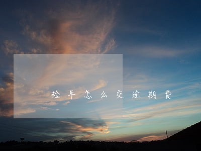 检车怎么交逾期费 检车怎么交逾期费