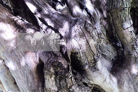 检车时间逾期两天