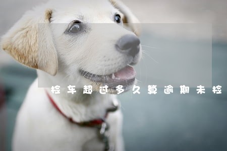 检车超过多久算逾期未检 检车超过多久算逾期未检