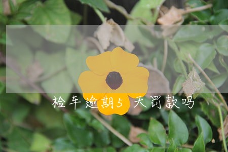 检车逾期5天罚款吗 检车逾期5天罚款吗