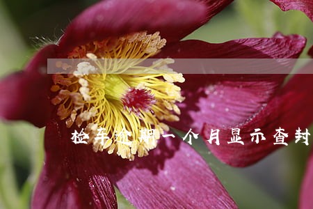 检车逾期一个月显示查封
