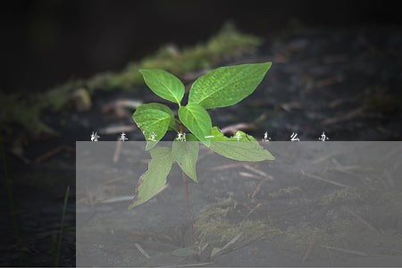 检车逾期一年怎么办