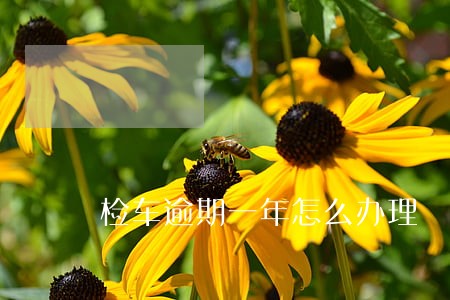 检车逾期一年怎么办理 检车逾期一年怎么办理