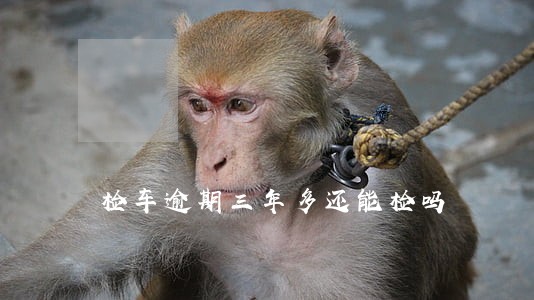 检车逾期三年多还能检吗 检车逾期三年多还能检吗