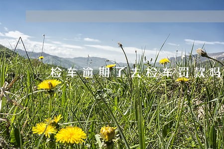 检车逾期了去检车罚款吗