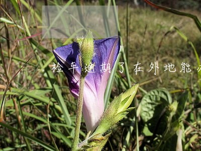 检车逾期了在外地能办理吗 检车逾期了在外地能办理吗