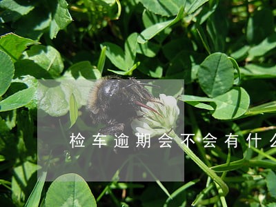 检车逾期会不会有什么记录 检车逾期会不会有什么记录