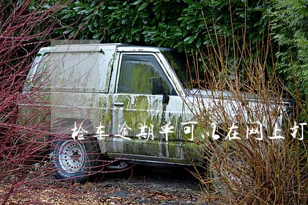 检车逾期单可以在网上打印吗