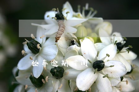检车逾期时间 检车逾期时间