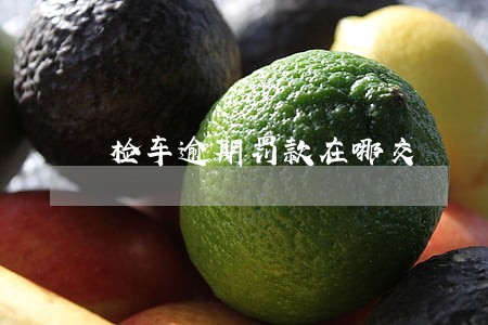 检车逾期罚款在哪交