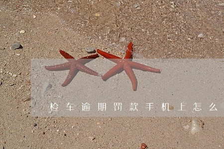 检车逾期罚款手机上怎么交 检车逾期罚款手机上怎么交