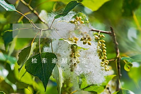 检车逾期规定 检车逾期规定