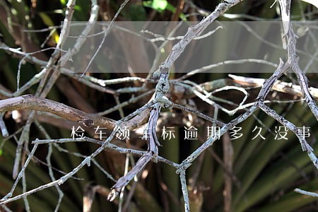 检车领车标逾期多久没事 检车领车标逾期多久没事