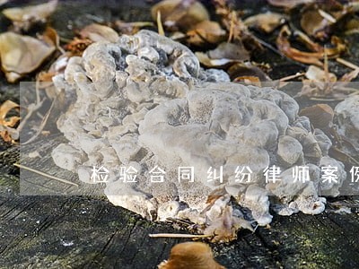 检验合同纠纷律师案例 检验合同纠纷律师案例