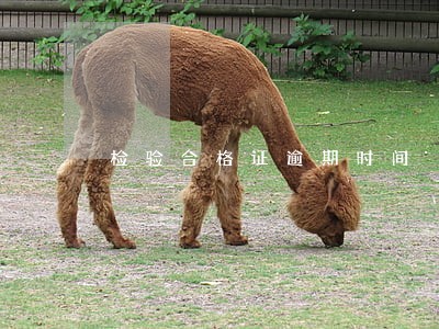 检验合格证逾期时间 检验合格证逾期时间
