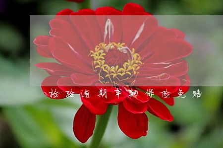 检验逾期车辆保险免赔 检验逾期车辆保险免赔