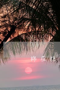 棉花糖逾期一个月 棉花糖逾期一个月