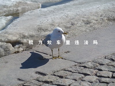 棍刀放车里违法吗 棍刀放车里违法吗