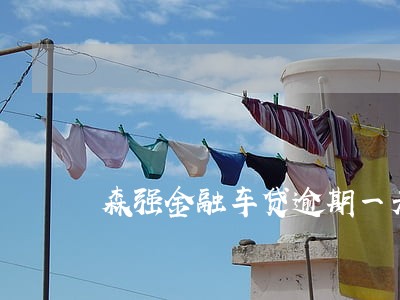 森强金融车贷逾期一天