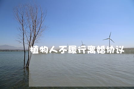 植物人不履行离婚协议 植物人不履行离婚协议