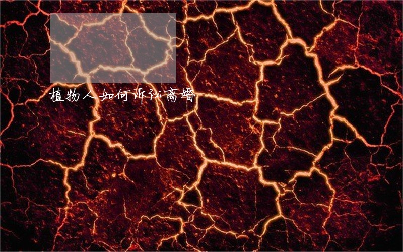 植物人如何诉讼离婚 植物人如何诉讼离婚